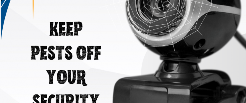 How to Stop Having Spider Webs Over CCTV